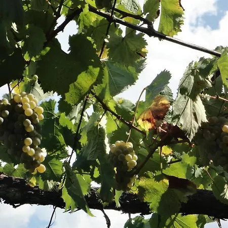 بيت ضيافة Casas Do Eido E Casa Da Viuva