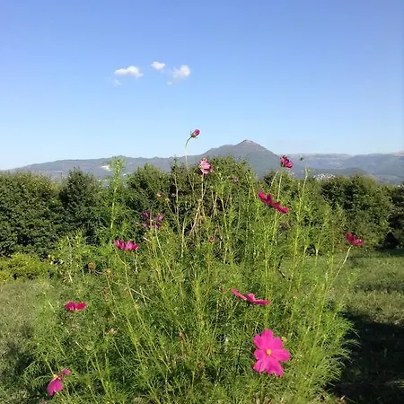 Pensjonat Casas Do Eido E Casa Da Viuva Celorico De Basto