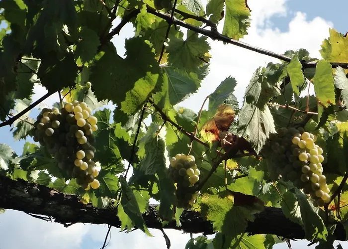 Gasthuis Casas Do Eido E Casa Da Viuva