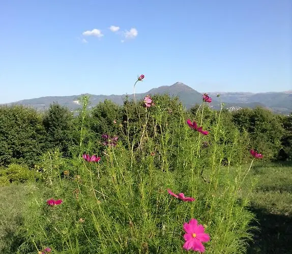 Gasthuis Casas Do Eido E Casa Da Viuva Celorico De Basto