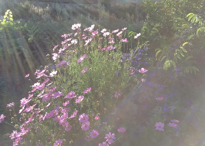 Casas Do Eido E Casa Da Viuva Celorico De Basto